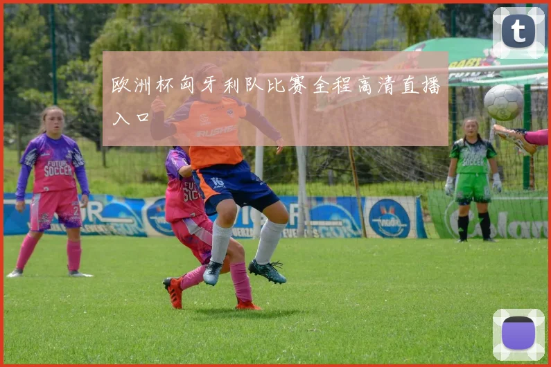 欧洲杯匈牙利队比赛全程高清直播入口
