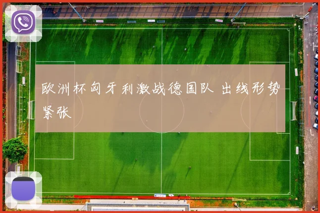 欧洲杯匈牙利激战德国队 出线形势紧张